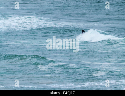 Surfer au White Rocks Strand Portrush le comté d'Antrim en Irlande du Nord Banque D'Images