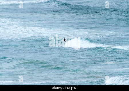 Surfer au White Rocks Strand Portrush le comté d'Antrim en Irlande du Nord Banque D'Images