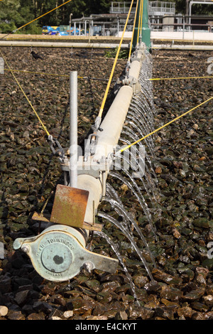 Les travaux d'épuration des eaux usées de rotation se déverse sur le filtre biologique pierre bed Somerset UK Banque D'Images