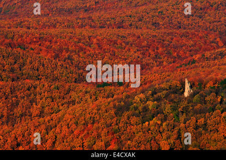 Vue aérienne, forêt en couleurs de l'automne, la montagne du Velebit, Croatie Banque D'Images