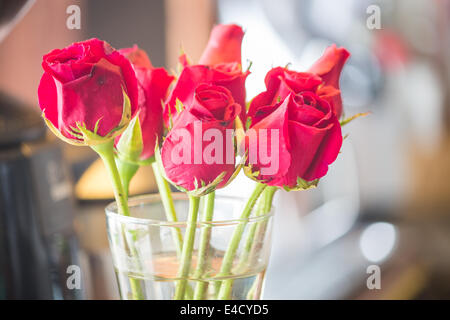 La floraison des roses rouges dans un vase, stock photo Banque D'Images