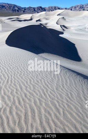 Ondulations dans les sables d'Eureka Dunes dans Death Valley National Park. Banque D'Images