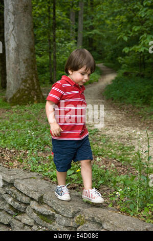 Trois ans marche sur mur de pierre Spring Mill State Park dans l'Indiana Banque D'Images