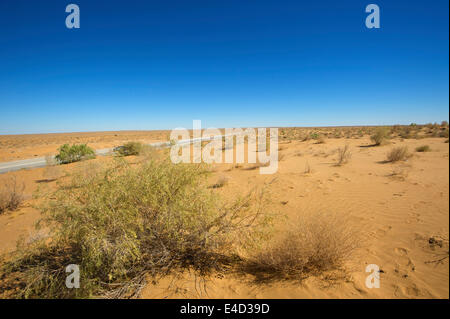 Kyzyl Kum désert, Ouzbékistan Banque D'Images