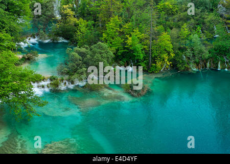 Lacs inférieurs avec de petites chutes, le parc national des Lacs de Plitvice, Plitvice Jezera Lika-Senj, Croatie, Banque D'Images