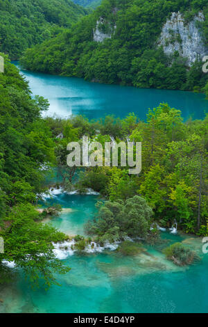 Lacs inférieurs avec de petites chutes, le parc national des Lacs de Plitvice, Plitvice Jezera Lika-Senj, Croatie, Banque D'Images