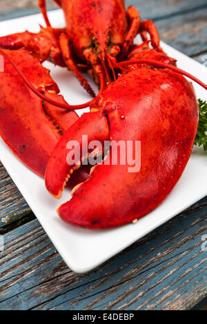 Homard fraîchement cuit sur un plateau. Banque D'Images