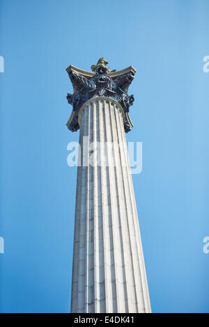 Vue générale de la colonne Nelson à Trafalgar Sqaure, Londres Banque D'Images