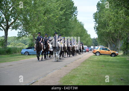 Promenade à la plage avec cavalerie Banque D'Images