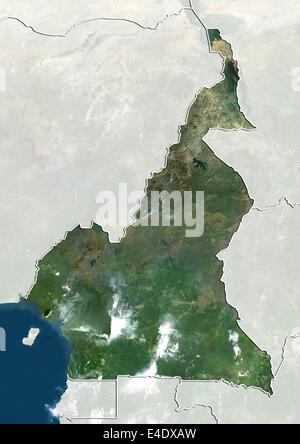 Cameroun, True Color Satellite Image avec masque et de la frontière Banque D'Images