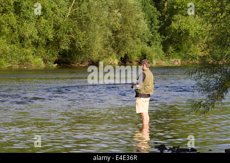 Homme adulte pêche en rivière Severn à Bewdley Banque D'Images