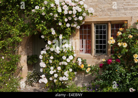 Roses sur une maison en pierre dans le village de Cotswold peu Barrington, Gloucestershire UK Banque D'Images