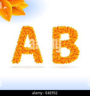 Sans serif avec décoration de feuilles orange sur fond blanc. Les lettres A et B Banque D'Images