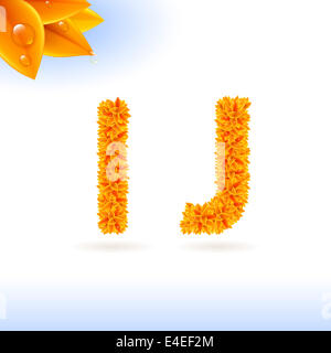 Sans serif avec décoration de feuilles orange sur fond blanc. Les lettres I et J Banque D'Images