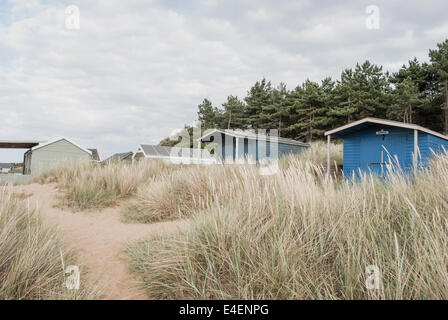 Cabines de plage dans les dunes de sable avec des arbres en arrière-plan. Banque D'Images