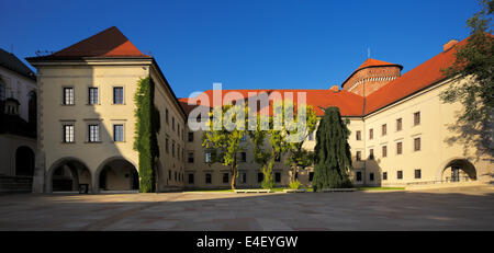 Le Château Royal de Wawel à Cracovie est le plus important site historique et culturel en Pologne Banque D'Images