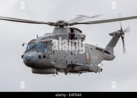 EH-101 Merlin de la Royal Navy en vol, Jagel, Allemagne. Banque D'Images