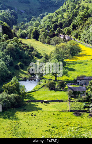 Dale Monsal et rivière Wye, Derbyshire Banque D'Images