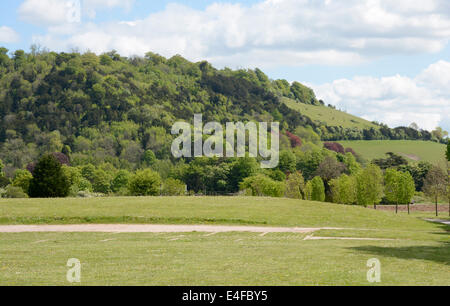 Fort Hill dans les North Downs à Dorking. Surrey. L'Angleterre Banque D'Images