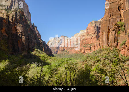 Vue depuis, Weeping Rock Zion National Park, Utah, USA Banque D'Images