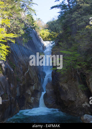 Dans les gorges de Shosenkyo à Kofu vert frais, Yamanashi, Japon Banque D'Images