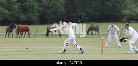 Jouer un match de cricket sur la nouvelle forêt comme poneys paissent dans l'arrière-plan. Banque D'Images