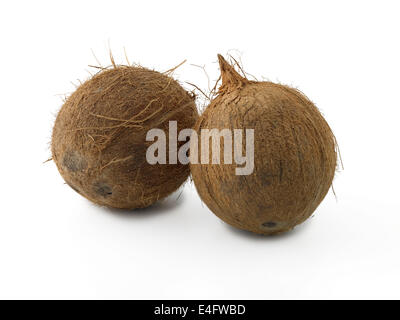 noix de coco Banque D'Images