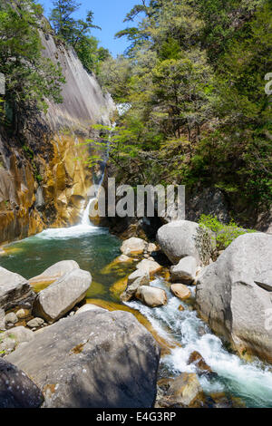 Dans les gorges de Shosenkyo à Kofu vert frais, Yamanashi, Japon Banque D'Images