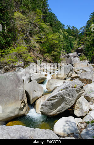 Dans les gorges de Shosenkyo à Kofu vert frais, Yamanashi, Japon Banque D'Images