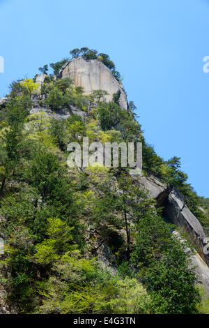 Dans les gorges de Shosenkyo à Kofu vert frais, Yamanashi, Japon Banque D'Images