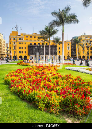 Fleur en Plaza de Armas - Lima, Pérou Banque D'Images