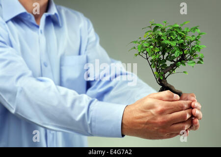 Prendre soin des nouveaux aménagements Banque D'Images