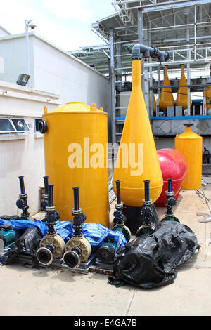 Les pompes à eau dans l'usine Banque D'Images