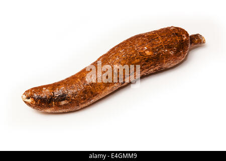 Le manioc ou les racines de manioc (Manihot esculenta) isolated on a white background studio. Banque D'Images