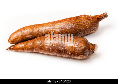 Le manioc ou les racines de manioc (Manihot esculenta) isolated on a white background studio. Banque D'Images