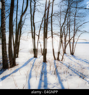 L'hiver en Finlande Banque D'Images