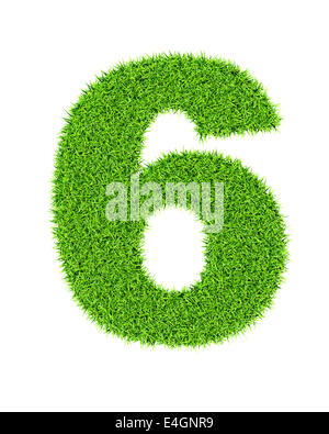 Nombre d'herbe 6 (six) - écologie eco friendly le concept de type de caractère Banque D'Images