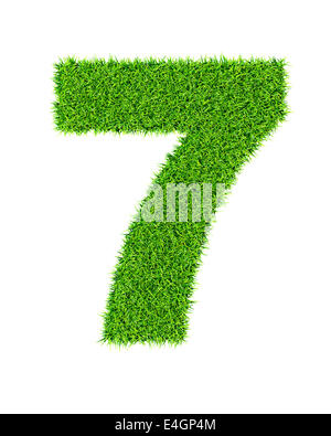 Nombre d'herbe 7 (sept) - écologie eco friendly le concept de type de caractère Banque D'Images