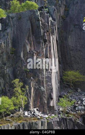 Padarn Country Park, Llanberis, Gwynedd Banque D'Images