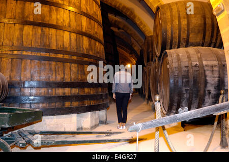 Les célèbres caves à vins Florio à Marsala en Sicile Banque D'Images