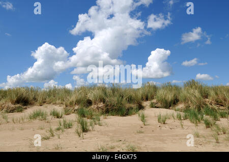 Les Cumulus plus de roseaux et des dunes de sable Point Ginst Pendine Carmarthenshire Banque D'Images