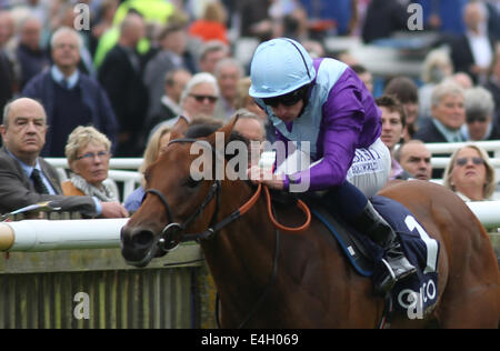 Newmarket, au Royaume-Uni. 11 juillet, 2014. Moët et Chandon juillet Festival, Gentlemans QUIPCO Jour. En vertu de la Reine d'Arabie Ryan Moore remportant la duchesse de Cambridge pieux. Credit : Action Plus Sport/Alamy Live News Banque D'Images