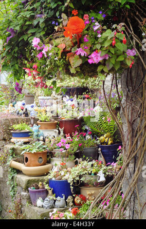 Plantes en pots sur des marches en pierre à l'extérieur d'un chalet traditionnel en pierre construit dans le Peak District, Derbyshire, Royaume-Uni Banque D'Images