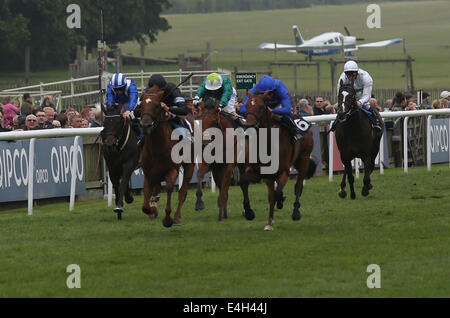 Newmarket, au Royaume-Uni. 11 juillet, 2014. Moët et Chandon juillet Festival, Gentlemans QUIPCO Jour. Astronereus sous Richard Hughes remportant la construction Woodhurst Maiden Stakes. Credit : Action Plus Sport/Alamy Live News Banque D'Images