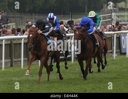 Newmarket, au Royaume-Uni. 11 juillet, 2014. Moët et Chandon juillet Festival, Gentlemans QUIPCO Jour. Astronereus sous Richard Hughes remportant la construction Woodhurst Maiden Stakes. Credit : Action Plus Sport/Alamy Live News Banque D'Images