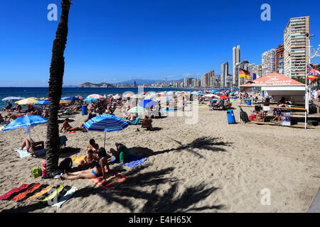 Afficher le long de la plage Playa de Levante, Benidorm, Costa Blanca resort, province de Valence, en Espagne, en Europe. Banque D'Images