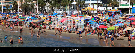 Afficher le long de la plage Playa de Levante, Benidorm, Costa Blanca resort, province de Valence, en Espagne, en Europe. Banque D'Images