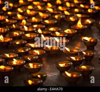 Bougies allumées dans un temple bouddhiste. Complexe Tsuglagkhang, McLeod Ganj, Himachal Pradesh, Inde Banque D'Images