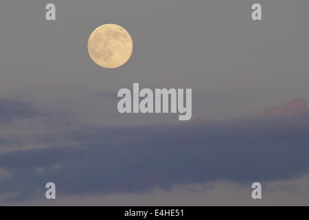 Middletown, New York, USA. 11 juillet, 2014. La presque pleine lune se lève à travers les nuages vus de Middletown, New York. Crédit : Tom Bushey/ZUMA/Alamy Fil Live News Banque D'Images