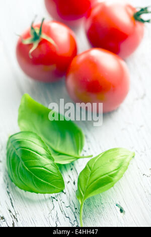 Les feuilles de basilic et les tomates de table ancienne Banque D'Images